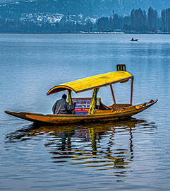 Kashmir